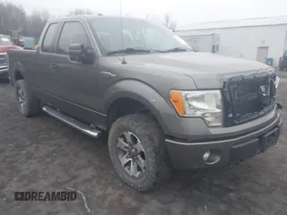 2013 Ford F-150 XL with VIN 1FTFX1EF5DFB00428, listed as a IAAI auction lot 41854227 with 133,099 mi miles. Bid and sale history available at carsss.com. Image 1.