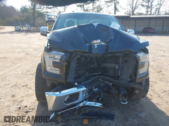 2017 Ford F-150 XL with VIN 1FTEW1EF3HFA84749, listed as a IAAI auction lot 41476220 with 174,958 mi miles. Bid and sale history available at carsss.com. Image 6.