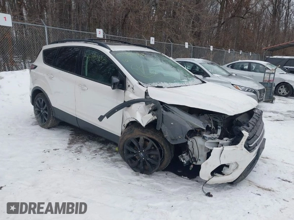 2017 Ford Escape SE with VIN 1FMCU9G96HUB49541, listed as a IAAI auction lot 41381783 with 178,323 mi miles. Bid and sale history available at carsss.com. Image 1.
