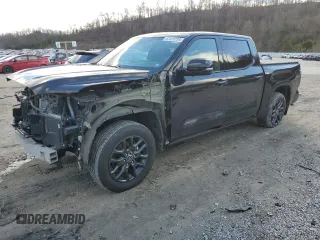 2022 Toyota Tundra Platinum with VIN 5TFNA5DB1NX029789, listed as a Copart auction lot 87416104 with 49,149 mi miles and Salvage title. Bid and sale history available at DreamBid. Image 1.