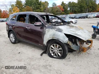 2018 Kia Sorento LX V6 with VIN 5XYPGDA57JG404971, listed as a Copart auction lot 76484834 with 0 mi miles and Salvage Title. Bid and sale history available at carsss.com. Image 4.