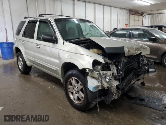 2005 Ford Escape Limited with VIN 1FMYU04145KA78041, listed as a Copart auction lot 70222184 with 113,943 mi miles and Salvage Title. Bid and sale history available at carsss.com. Image 4.