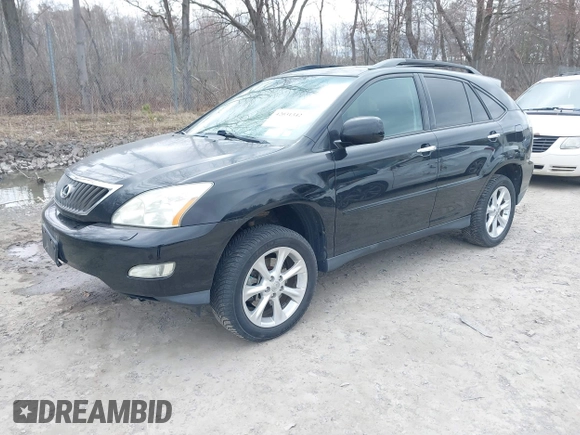 2009 Lexus RX 350 with VIN 2T2HK31U79C124393, listed as a IAAI auction lot 42031342 with 173,072 mi miles and . Bid and sale history available at DreamBid. Image 17.
