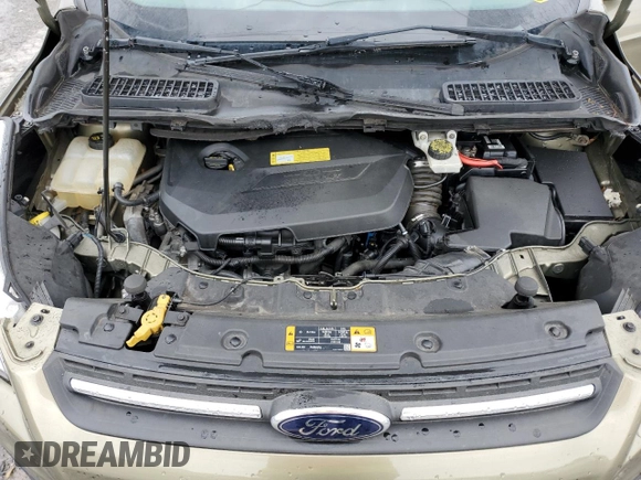 2014 Ford Escape SE with VIN 1FMCU0GX2EUA44369, listed as a Copart auction lot 51190805 with 117,975 mi miles and Salvage Title. Bid and sale history available at carsss.com. Image 13.