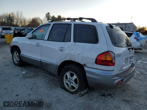 2004 Hyundai Santa Fe with VIN KM8SB12B04U822590, listed as a Copart auction lot 41783245 with 163,315 mi miles and Clean Title. Bid and sale history available at carsss.com. Image 2.