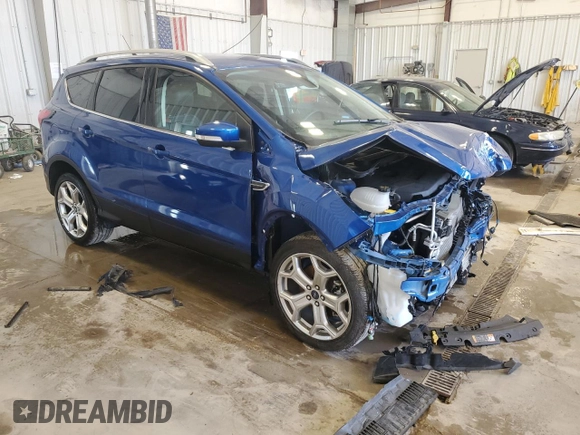 2019 Ford Escape Titanium with VIN 1FMCU0J94KUB49727, listed as a Copart auction lot 61973185 with Not provided miles and Non repairable. Bid and sale history available at DreamBid. Image 4.