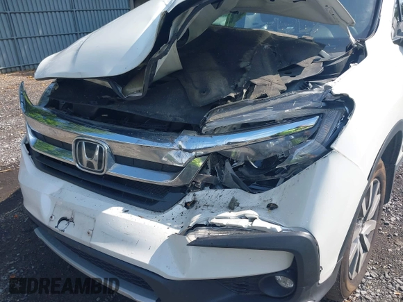 2021 Honda Pilot EX with VIN 5FNYF6H38MB072297, listed as a IAAI auction lot 42561276 with 119,172 mi miles and . Bid and sale history available at DreamBid. Image 6.