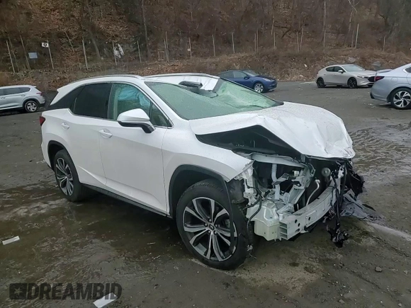 2019 Lexus RX with VIN JTJDZKCAXK2016735, listed as a Copart auction lot 43195745 with 0 mi miles and Salvage Title. Bid and sale history available at carsss.com. Image 12.