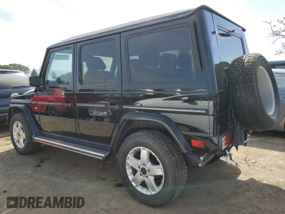 2003 Mercedes-Benz G with VIN WDCYR49E23X135498, listed as a Copart auction lot 53326085 with 173,667 mi miles and Salvage Title. Bid and sale history available at carsss.com. Image 2.
