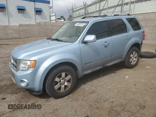 2009 Ford Escape Hybrid with VIN 1FMCU59339KB02529, listed as a Copart auction lot 54928725 with 169,297 mi miles and Salvage title. Bid and sale history available at DreamBid. Image 1.