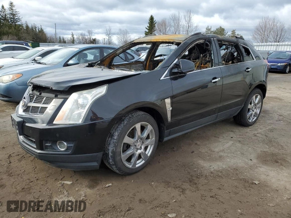 2012 Cadillac SRX Premium Collection with VIN 3GYFNFE31CS625015, listed as a Copart auction lot 53282135 with Not provided miles and Non repairable. Bid and sale history available at DreamBid. Image 1.