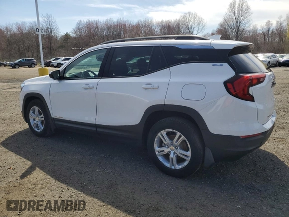 2020 GMC Terrain SLE z VIN 3GKALMEV8LL108210, wystawiony jako Copart lot #53311865 z przebiegiem 216 100 mil mil oraz Czysty tytuł • Clean title. Historia ofert i sprzedaży dostępna na DreamBid. Obrazek 2.