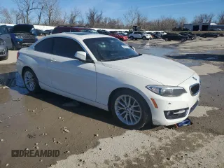 2016 BMW 2 Series 228i xDrive with VIN WBA1G9C55GV599175, listed as a Copart auction lot 44058195 with 106,544 mi miles and Salvage title. Bid and sale history available at DreamBid. Image 4.