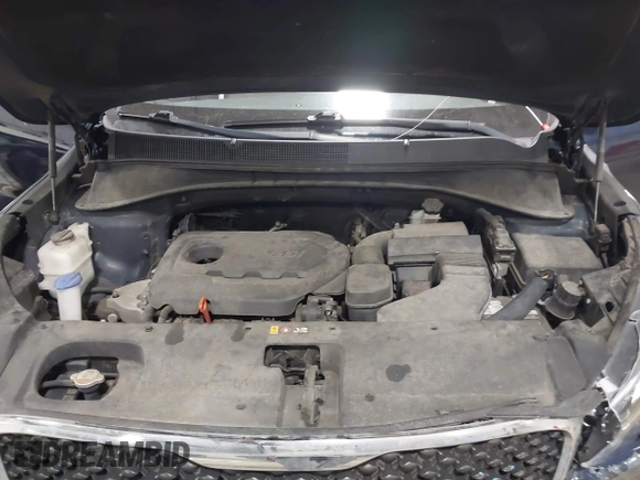 2017 Kia Sorento LX with VIN 5XYPGDA33HG293554, listed as a IAAI auction lot 41764803 with 114,673 mi miles and . Bid and sale history available at DreamBid. Image 10.