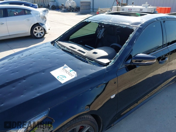 2024 Cadillac CT5 Sport z VIN 1G6DP5RK8R0102340, wystawiony jako IAAI lot #41943414 z przebiegiem 13 488 mil mil oraz . Historia ofert i sprzedaży dostępna na DreamBid. Obrazek 6.