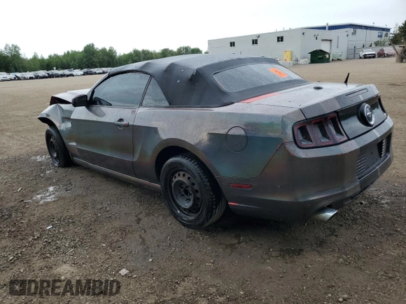2013 Ford Mustang V6 with VIN 1ZVBP8EMXD5213980, listed as a Copart auction lot 60423625 with 220,419 mi miles and Salvage title. Bid and sale history available at DreamBid. Image 2.