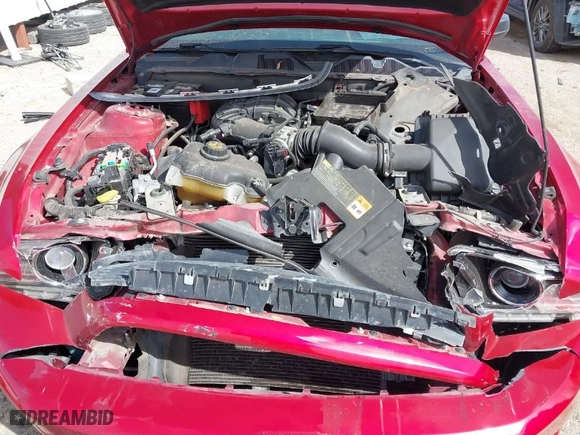 2013 Ford Mustang V6 with VIN 1ZVBP8AM9D5254770, listed as a IAAI auction lot 41828023 with 97,926 mi miles. Bid and sale history available at carsss.com. Image 10.