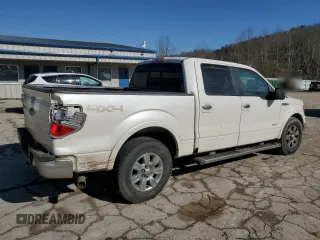 2012 Ford F-150 XL with VIN 1FTFW1ET5CFA68362, listed as a Copart auction lot 46281875 with Not Provided miles and Salvage Title. Bid and sale history available at DreamBid. Image 3.