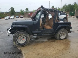 2002 Jeep Wrangler Sahara with VIN 1J4FA59SX2P747327, listed as a Copart auction lot 59515455 with 79,964 mi miles and Salvage title. Bid and sale history available at DreamBid. Image 1.