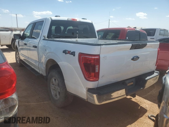 2021 Ford F-150 XL with VIN 1FTFW1E59MKE47732, listed as a Copart auction lot 54174705 with 204,949 mi miles and Clean Title. Bid and sale history available at carsss.com. Image 2.