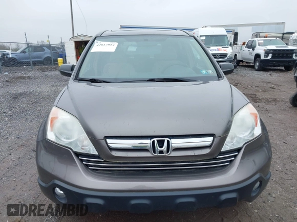 2009 Honda CR-V EX with VIN 5J6RE485X9L036252, listed as a IAAI auction lot 42017954 with 216,225 mi miles. Bid and sale history available at carsss.com. Image 6.