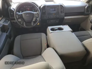 2019 Ford F-150 XL with VIN 1FTEX1EB8KKD27044, listed as a Copart auction lot 49573115 with 100,768 mi miles and Salvage Title. Bid and sale history available at carsss.com. Image 8.