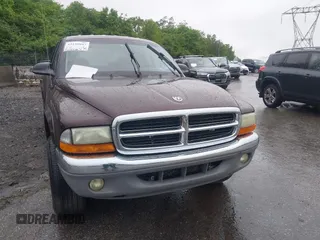 2004 Dodge Dakota SLT with VIN 1D7HG48N04S718220, listed as a IAAI auction lot 42258803 with 250,757 mi miles and . Bid and sale history available at DreamBid. Image 6.