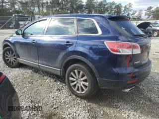 2009 Mazda CX-9 Touring with VIN JM3TB38A690172785, listed as a Copart auction lot 42292535 with 250,694 mi miles and Salvage Title. Bid and sale history available at carsss.com. Image 2.