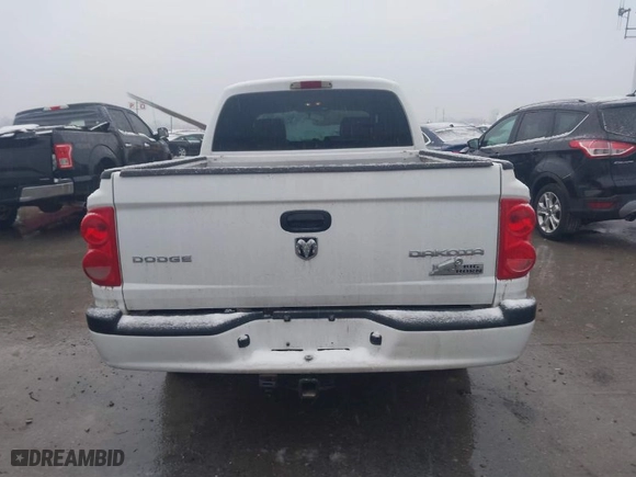 2010 Dodge Dakota Bighorn/Lonestar with VIN 1D7CW3GK0AS228256, listed as a IAAI auction lot 41552140 with 195,566 mi miles. Bid and sale history available at carsss.com. Image 17.