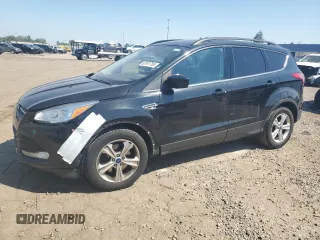 2014 Ford Escape SE with VIN 1FMCU9GX1EUD71589, listed as a Copart auction lot 63191785 with 112,579 mi miles and Clean title. Bid and sale history available at DreamBid. Image 1.