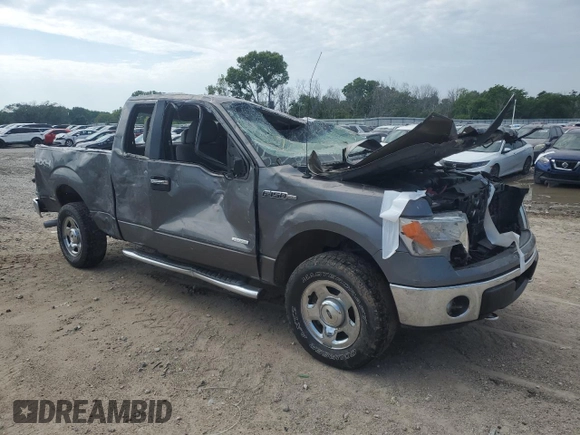 2011 Ford F-150 XL with VIN 1FTFX1ET1BFD12181, listed as a Copart auction lot 58925645 with Not provided miles and Salvage title. Bid and sale history available at DreamBid. Image 4.