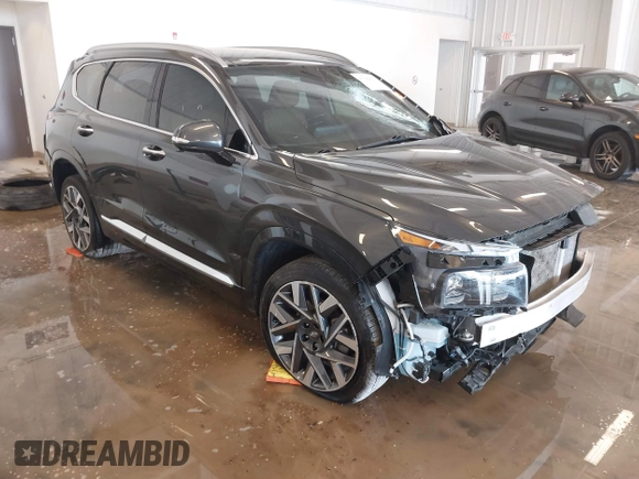 2023 Hyundai Santa Fe Calligraphy z VIN 5NMS5DAL6PH617083, wystawiony jako IAAI lot #41786072 z przebiegiem 29 563 mil mil oraz . Historia ofert i sprzedaży dostępna na DreamBid. Obrazek 1.
