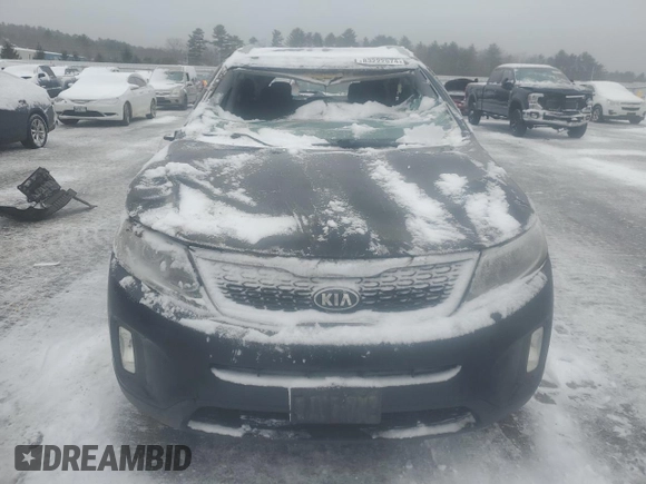 2014 Kia Sorento LX with VIN 5XYKTDA70EG511079, listed as a Copart auction lot 83222574 with 0 mi miles and Salvage Title. Bid and sale history available at carsss.com. Image 5.