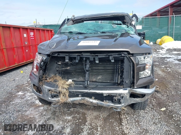 2016 Ford F-150 XLT with VIN 1FTEX1E81GFD36012, listed as a IAAI auction lot 41607537 with 106,089 mi miles and . Bid and sale history available at DreamBid. Image 12.