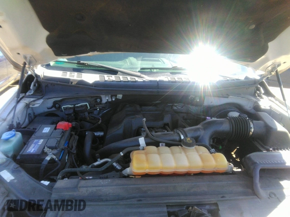 2016 Ford F-150 XL with VIN 1FTEX1CP4GFC05196, listed as a IAAI auction lot 41814514 with 206,486 mi miles and . Bid and sale history available at carsss.com. Image 10.