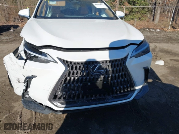 2025 Lexus NX with VIN JTJGGCEZ4S2023563, listed as a IAAI auction lot 41445692 with 210 mi miles. Bid and sale history available at carsss.com. Image 12.