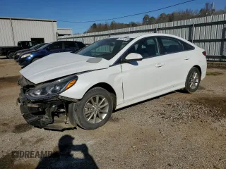 2019 Hyundai Sonata SE with VIN 5NPE24AF7KH746302, listed as a Copart auction lot 50091505 with 80,683 mi miles and Salvage Title. Bid and sale history available at DreamBid. Image 1.