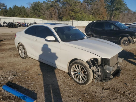 2016 BMW 2 Series 228i with VIN WBA1F9C55GV544759, listed as a Copart auction lot 87604395 with 95,698 mi miles and Salvage Title. Bid and sale history available at carsss.com. Image 4.