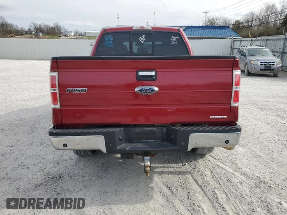 2013 Ford F-150 XL with VIN 1FTFW1EF5DFA72956, listed as a Copart auction lot 49891245 with 142,672 mi miles and Salvage Title. Bid and sale history available at DreamBid. Image 6.