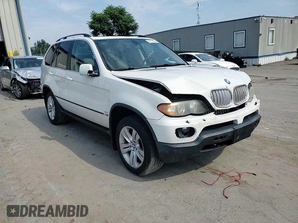 2005 BMW X5 4.4i with VIN 5UXFB53585LV19567, listed as a Copart auction lot 65774034 with 265,529 mi miles and Salvage Title. Bid and sale history available at carsss.com. Image 12.