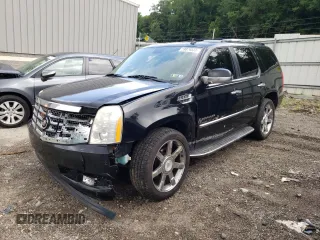 2009 Cadillac Escalade z VIN 1GYFK232X9R222805, wystawiony jako Copart lot #74202924 z przebiegiem 253 955 mil mil oraz Szkoda całkowita • Salvage title. Historia ofert i sprzedaży dostępna na DreamBid. Obrazek 1.