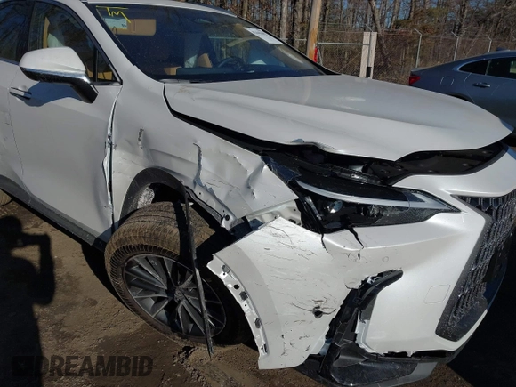 2025 Lexus NX with VIN JTJGGCEZ4S2023563, listed as a IAAI auction lot 41445692 with 210 mi miles. Bid and sale history available at carsss.com. Image 6.