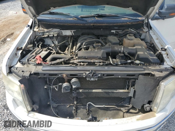 2010 Ford F-150 XL with VIN 1FTEX1E89AFB10260, listed as a Copart auction lot 57491885 with 185,044 mi miles and Salvage title. Bid and sale history available at DreamBid. Image 11.