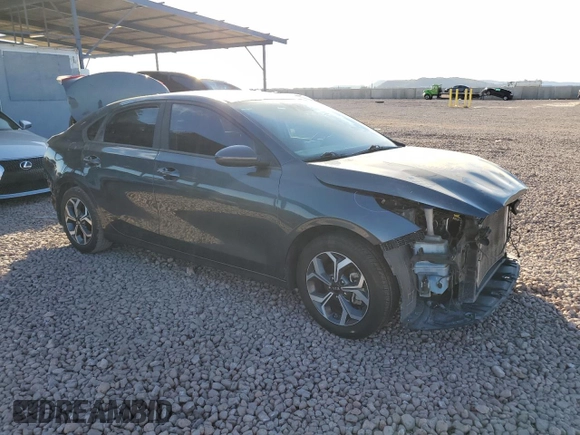 2019 Kia Forte LXS with VIN 3KPF24ADXKE008680, listed as a Copart auction lot 42830905 with 124,252 mi miles and Salvage Title. Bid and sale history available at carsss.com. Image 4.