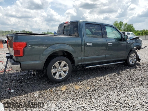 2018 Ford F-150 XL with VIN 1FTEW1CP4JKC46445, listed as a Copart auction lot 54977745 with 174,734 mi miles and Salvage title. Bid and sale history available at DreamBid. Image 3.