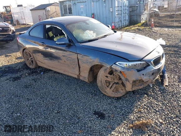 2016 BMW 2 Series 228i z VIN WBA1F9C52GV545125, wystawiony jako IAAI lot #41692429 z przebiegiem 89 183 mil mil oraz . Historia ofert i sprzedaży dostępna na DreamBid. Obrazek 1.