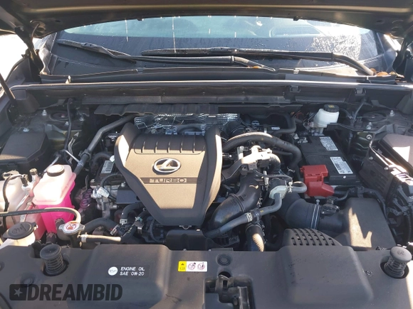 2022 Lexus NX with VIN 2T2GGCEZ4NC013667, listed as a IAAI auction lot 41508482 with 33,233 mi miles. Bid and sale history available at carsss.com. Image 10.