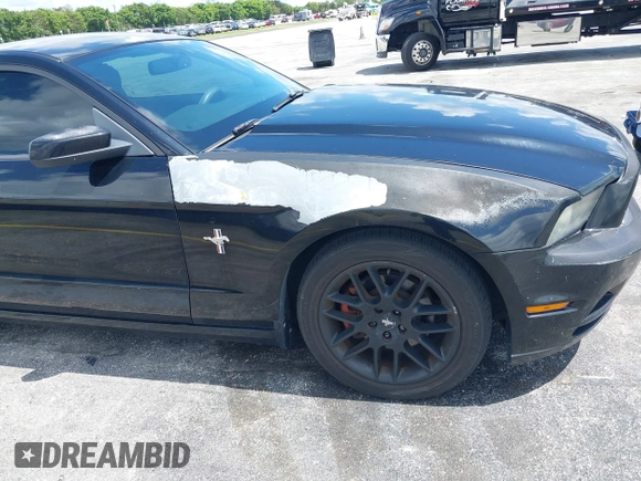 2013 Ford Mustang V6 with VIN 1ZVBP8AM5D5263496, listed as a IAAI auction lot 42580278 with 107,040 mi miles and . Bid and sale history available at DreamBid. Image 17.