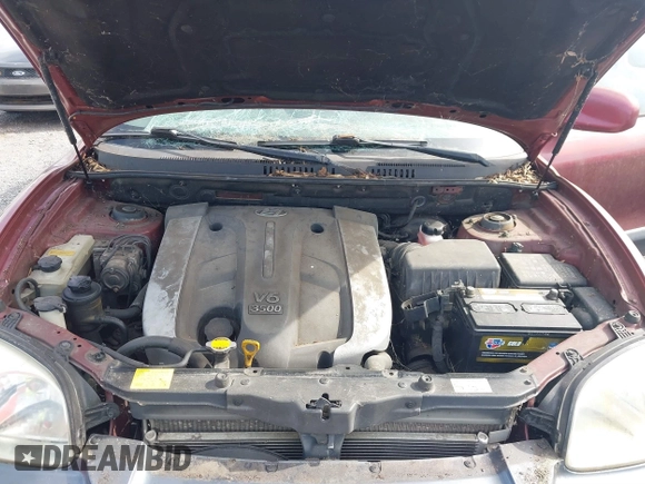 2003 Hyundai Santa Fe GLS with VIN KM8SC13E43U526945, listed as a IAAI auction lot 41847683 with 180,986 mi miles. Bid and sale history available at carsss.com. Image 10.