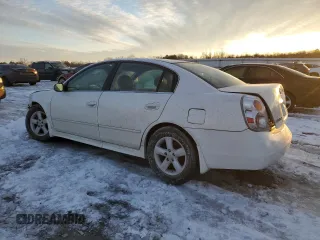 2003 Nissan Altima S with VIN 1N4AL11D93C135070, listed as a Copart auction lot 41577625 with 184,727 mi miles and Salvage Title. Bid and sale history available at carsss.com. Image 2.
